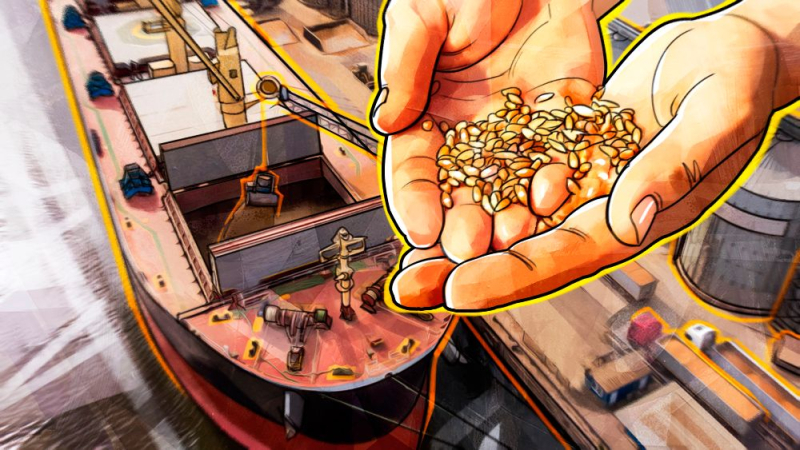 Экономист Дудчак: зерновая сделка стала прикрытием Запада для теракта на Крымском мосту