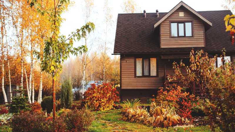 Юрист предупредила о штрафах за вырубку деревьев на дачном участке