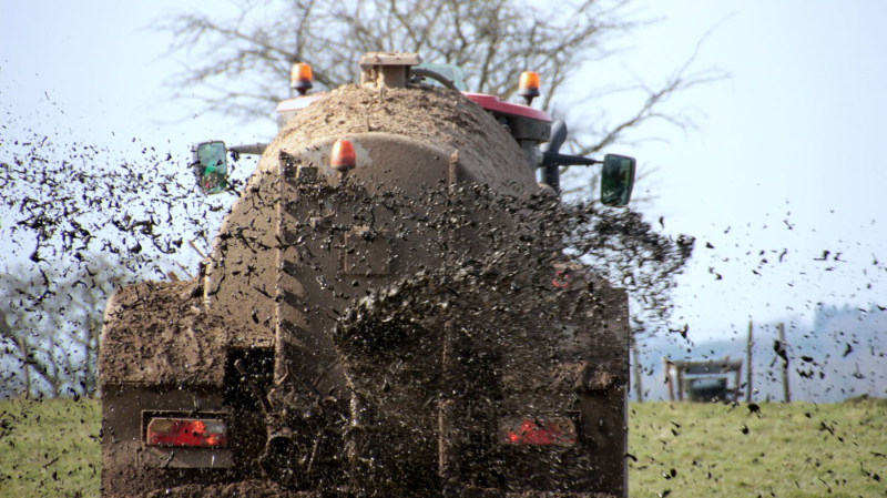 Reuters: Нидерланды разрешили отправку застрявших в порту Роттердама российских удобрений
