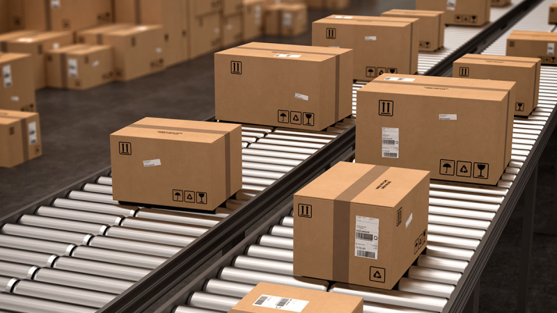 Ученый опроверг риск заражения менингитом через посылки из интернет-магазинов