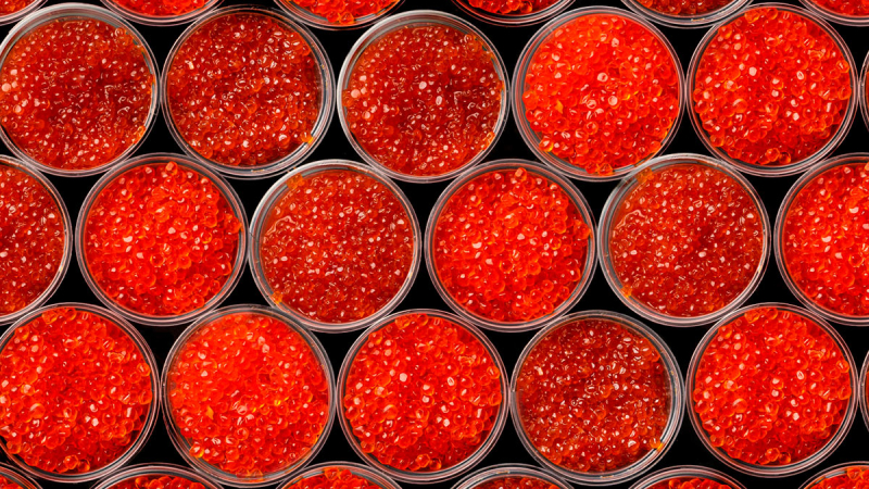 Эксперт объяснила, как выбрать и хранить икру к Новому году