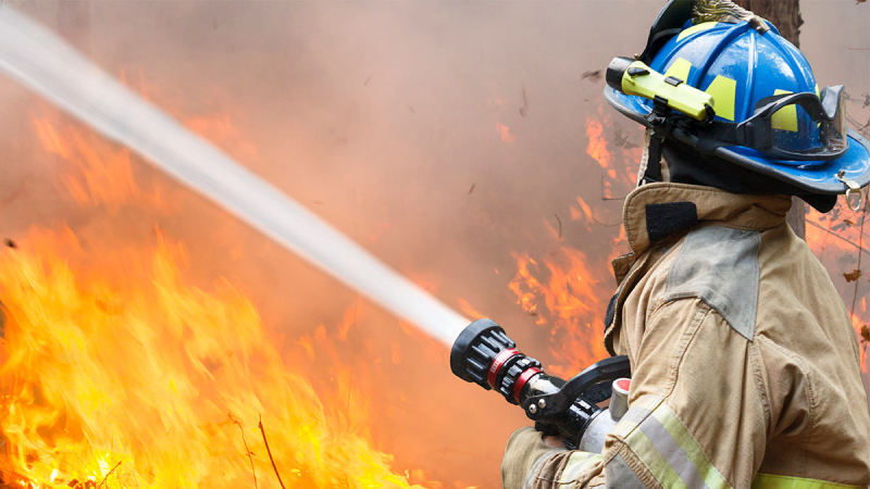 МЧС попросили возобновить проверки бизнеса из-за участившихся пожаров