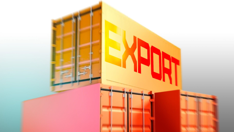 Правительство собирается установить квоты на экспорт сельхозтоваров из новых регионов РФ