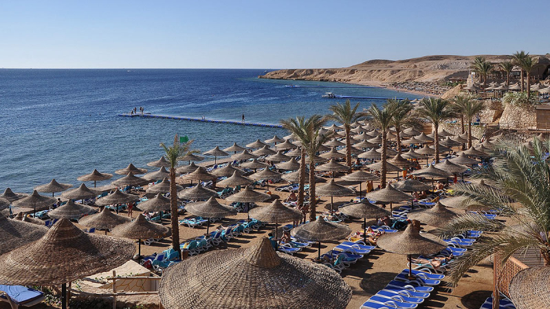 СМИ: более 800 застрявших в Египте российских туристов вернулись в РФ