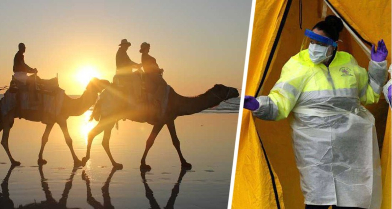 Туризм получил опасный сигнал о новой заразе, которая идёт на смену Covid-19: переносчиками опять назвали животных, с которыми контактировали тысячи туристов