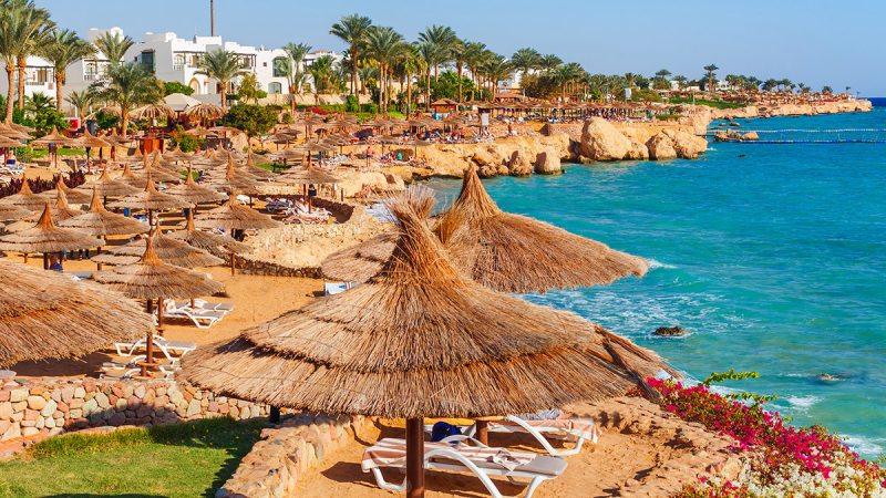 В Египте запретили курить кальян в 1 км от школ и мечетей